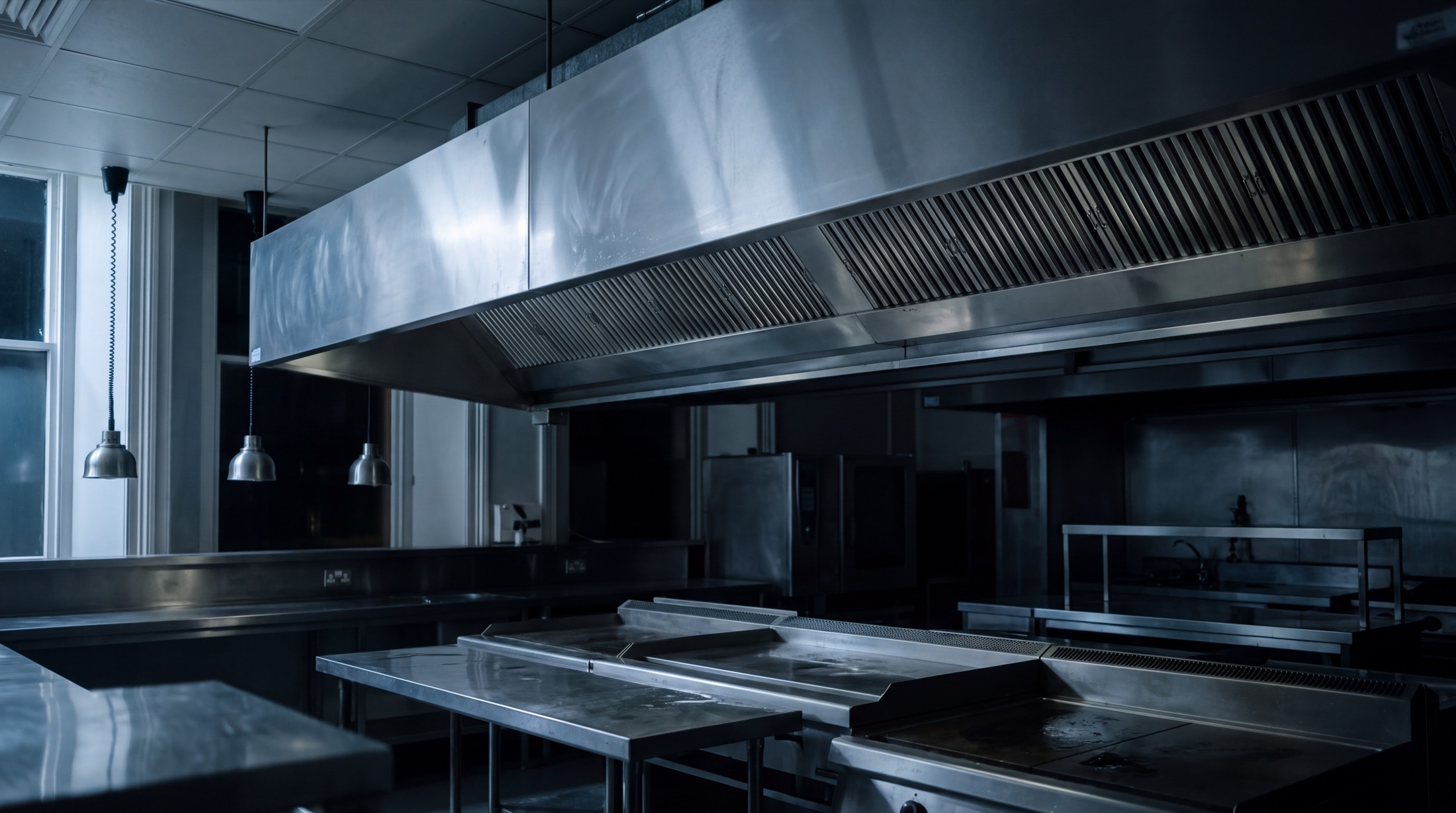 Commercial kitchen exhaust canopy and ductwork